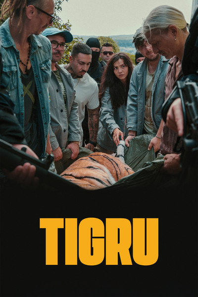 Póster de Day of the Tiger