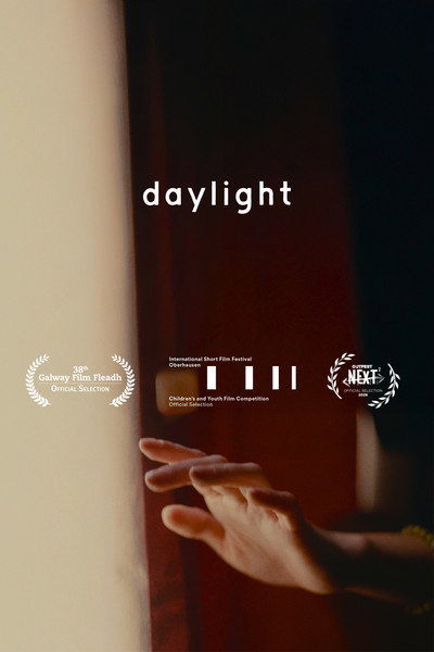 Póster de Daylight