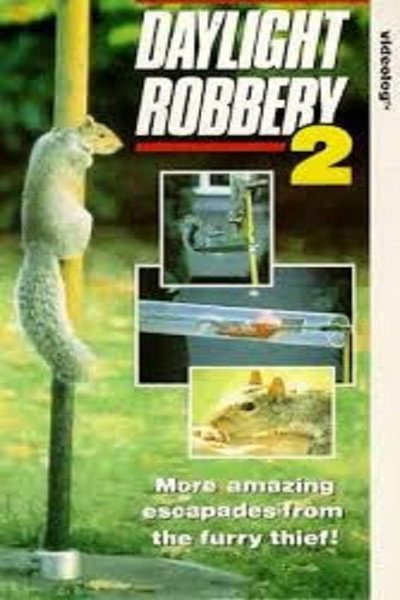 Póster de Daylight Robbery 2