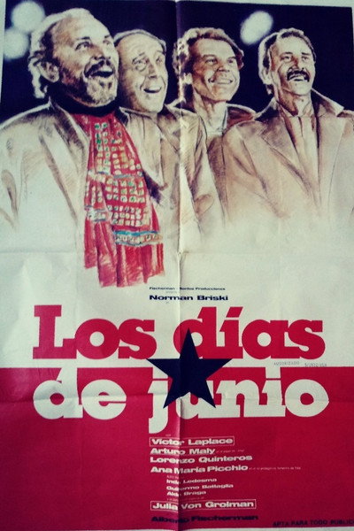 Póster de Days in June