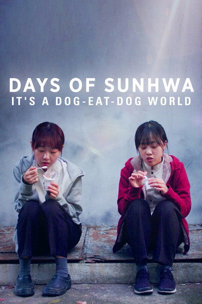 Póster de Days of Sunhwa