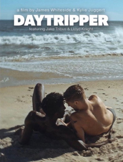 Póster de Daytripper