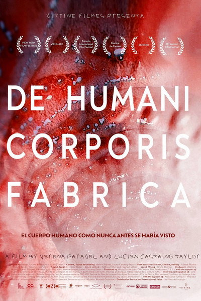 Póster de De Humani Corporis Fabrica