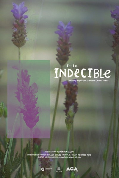 Póster de De lo Indecible