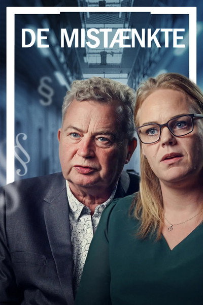 Póster de De mistænkte
