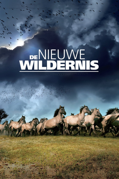 Póster de De nieuwe wildernis