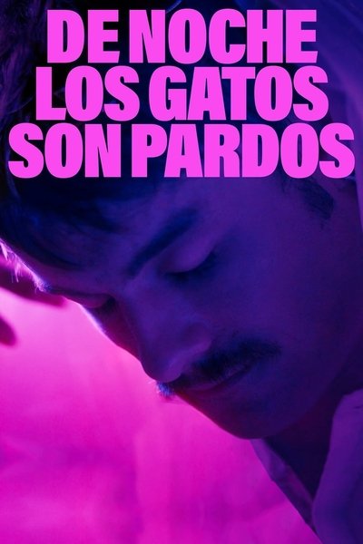 Póster de De noche los gatos son pardos