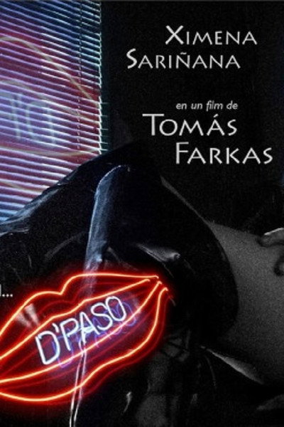 Póster de De paso