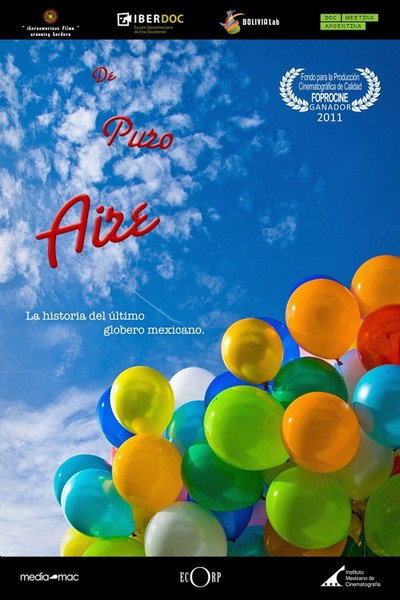 Póster de De puro aire