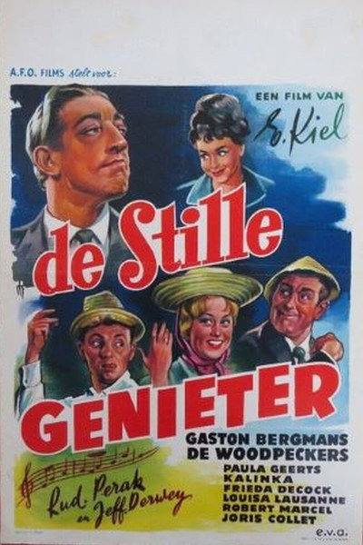 Póster de De stille genieter