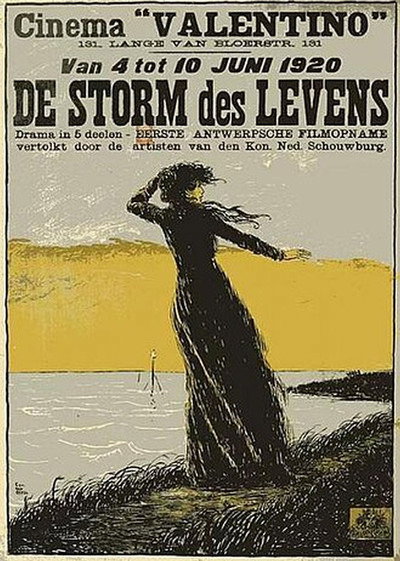 Póster de De storm des levens