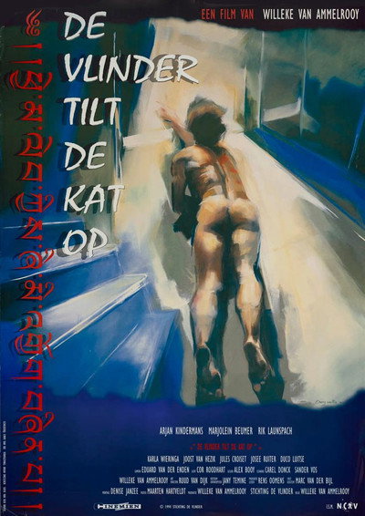 Póster de De vlinder tilt de kat op