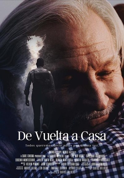 Póster de De Vuelta a Casa (The Way Home)