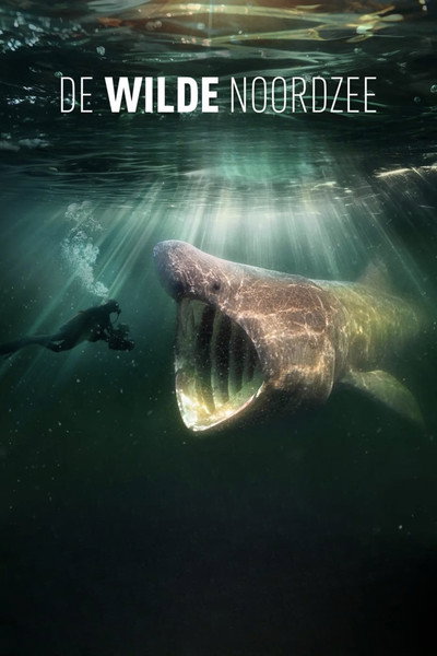 Póster de De wilde Noordzee