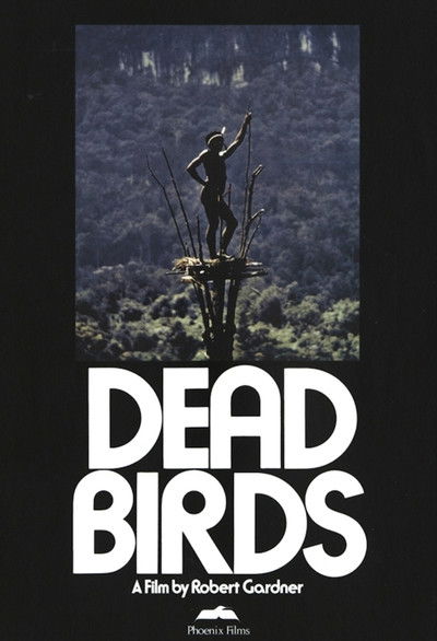 Póster de Dead Birds