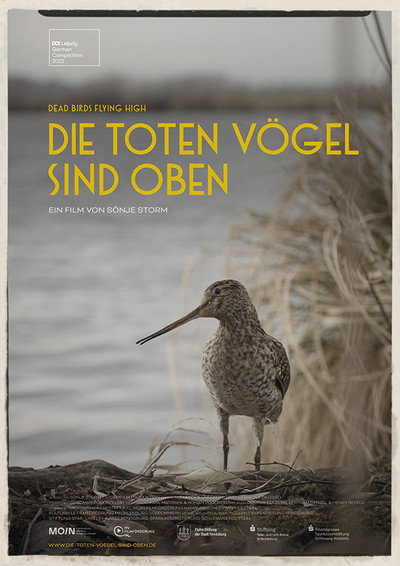 Póster de Dead Birds Flying High
