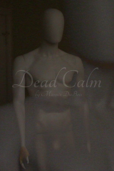 Póster de Dead Calm