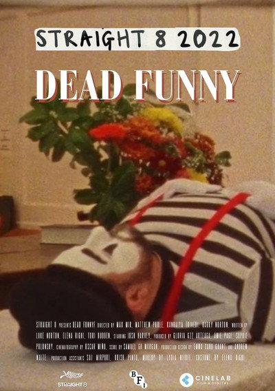 Póster de Dead Funny