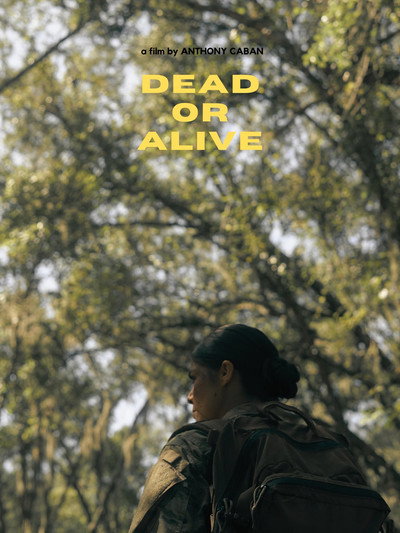 Póster de Dead or Alive