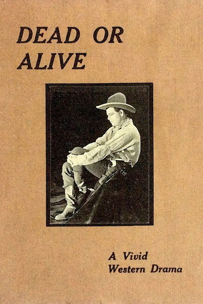 Póster de Dead or Alive