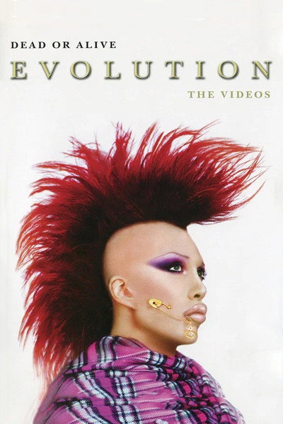 Póster de Dead or Alive: Evolution