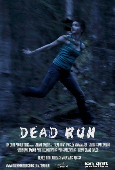 Póster de Dead Run