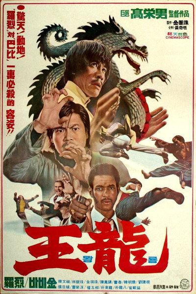 Póster de Deadly Kick