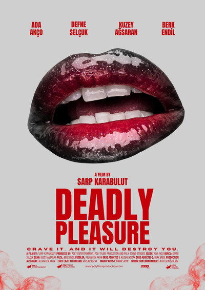 Póster de Deadly Pleasure