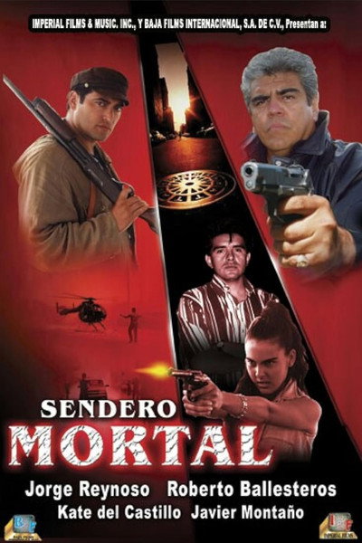 Póster de Deadly road