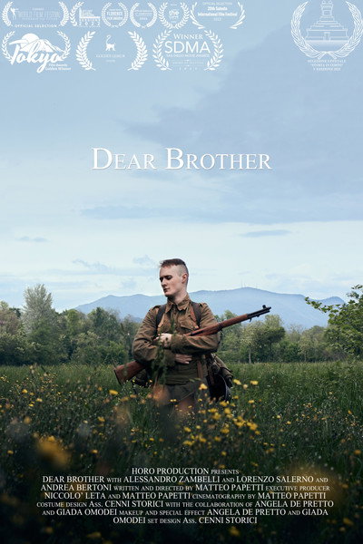 Póster de Dear Brother