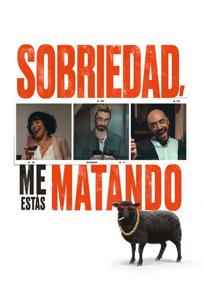 Póster de Dear Sobriety: You're Killing Me