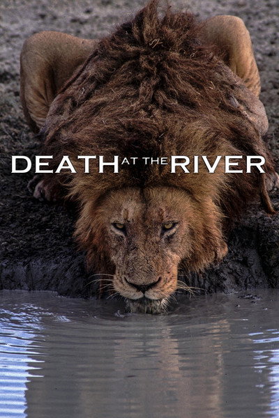 Póster de Death at the River