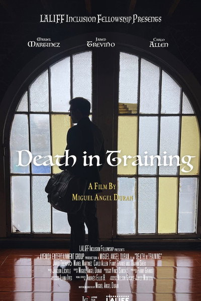 Póster de Death in Training