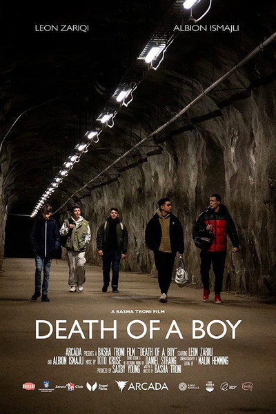 Póster de Death of a Boy
