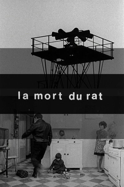 Póster de Death of the Rat
