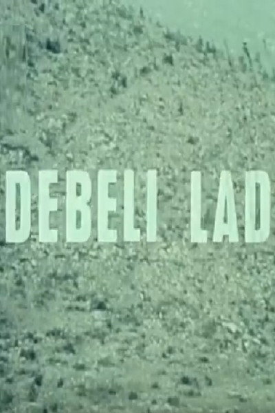 Póster de Debeli lad