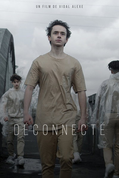 Póster de Déconnecté
