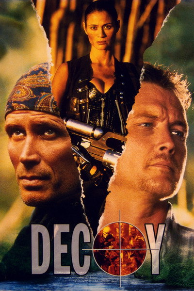 Póster de Decoy