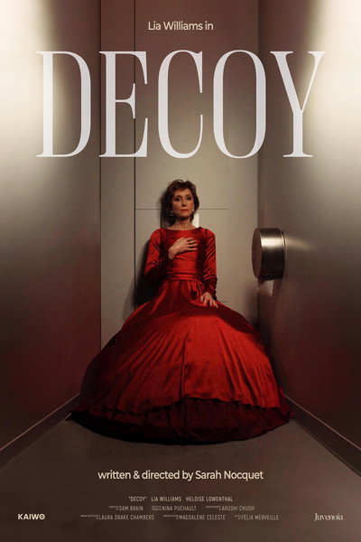 Póster de Decoy