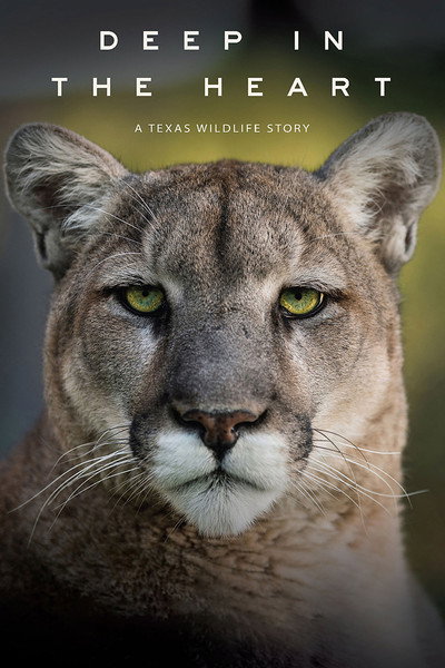 Póster de Deep in the Heart: A Texas Wildlife Story