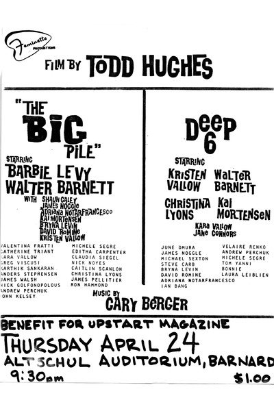 Póster de Deep Six