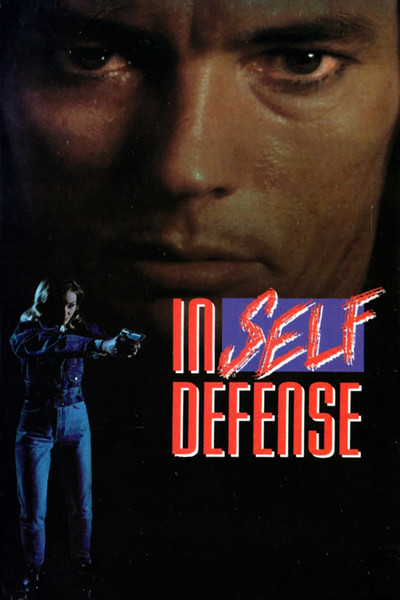 Póster de Defensa sin ley