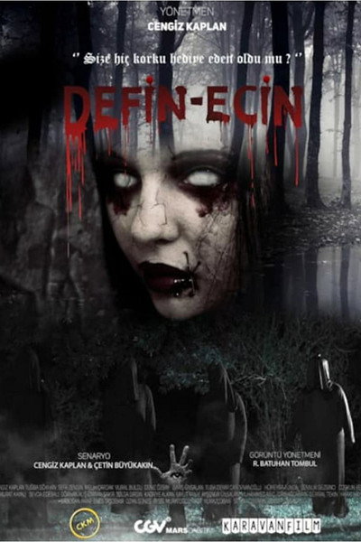 Póster de Defin-Ecin Zulman