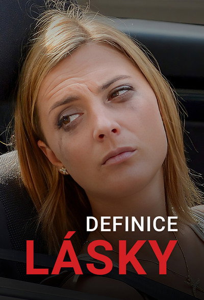 Póster de Definice lásky