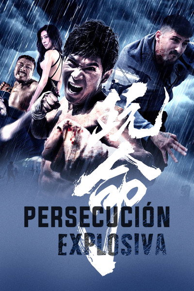 Póster de Defying Chase