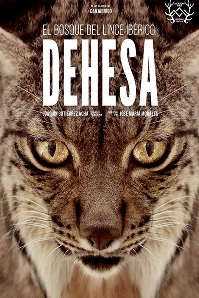 Póster de Dehesa: El bosque del lince ibérico