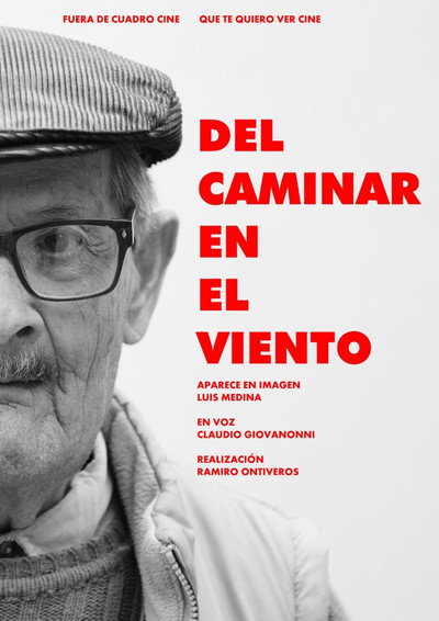 Póster de Del caminar en el viento