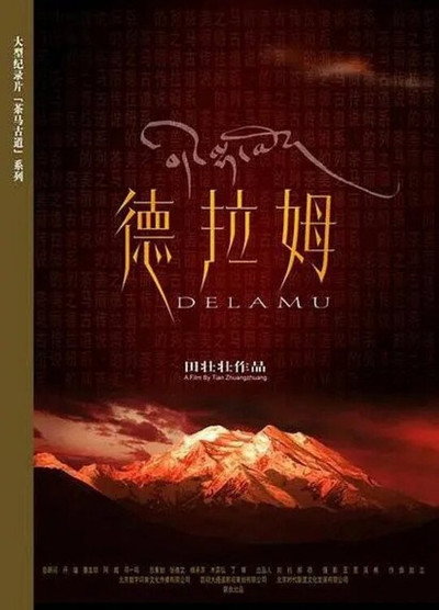 Póster de Delamu