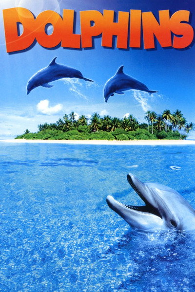 Póster de Delfines