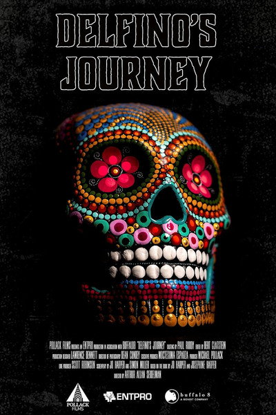 Póster de Delfino's Journey